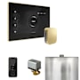 Mr Steam Xbutler Package Steam Shower Control Package with Isteamx Control and Steamhead Black / Satin Brass