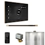 Mr Steam XButler Linear Steam Shower Control Package with iSteamX Control and Linear Steamhead Black / Brushed Bronze