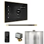 Mr Steam XButler Linear Steam Shower Control Package with iSteamX Control and Linear Steamhead Black / Polished Brass