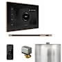 Mr Steam Xbutler Linear Package Steam Shower Control Package with Isteamx Control and Linear Steamhead Black / Polished Gold