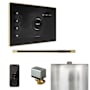 Mr Steam XButler Linear Steam Shower Control Package with iSteamX Control and Linear Steamhead Black / Satin Brass