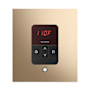 Mr Steam Itempo Square Steam Shower Control and Steamhead Polished Gold