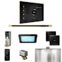 Mr Steam XDream Linear Steam Shower Control Package with iSteamX Control and Linear Steamhead Black / Polished Brass