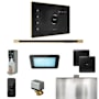 Mr Steam XDream Linear Steam Shower Control Package with iSteamX Control and Linear Steamhead Black / Satin Brass