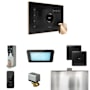 Mr Steam Xdream Package Steam Shower Control Package with Isteamx Control and Steamhead Black / Polished Gold