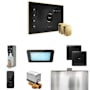 Mr Steam XDream Max Steam Shower Control Package with iSteamX Control and Steamhead Black / Polished Brass