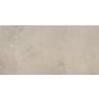 MSI Traktion Calypso - 12" x 24" Rectangle Floor and Wall Tile - Matte Visual - Sold by Carton (14 SF/Carton) Ash