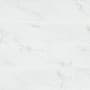 MSI Dymo - 24" x 24" Solid Floor and Wall Tile - Glossy Visual - Sold by Carton (16 SF/Carton) Calacatta White