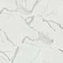 MSI Eden - 12" x 24" Rectangle Floor and Wall Tile - Polished Visual - Sold by Carton (16 SF/Carton) Statuary