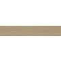 MSI Sample Only of NHDELE8X47 Cashew