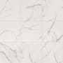 MSI 24" x 24" Square Floor Tile - Polished Visual - Sold by Pallet (480 SF/Pallet) Calacatta Lucca