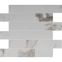 MSI Sample Only of NPIE2X4P Stauario