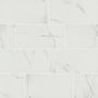 MSI Praia - 12" x 24" Rectangle Floor and Wall Tile - Polished Visual - Sold by Carton (16 SF/Carton) Carrara