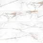 MSI Savoy - 24" x 48" Rectangle Floor and Wall Tile - Matte Visual - Sold by Carton (16 SF/Carton) Crema
