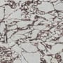 MSI Ventara - 24" x 48" Rectangle Floor and Wall Tile - Polished Visual - Sold by Carton (16 SF/Carton) Violetta