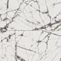 MSI Sample Only of NWG2448P Glacial Veil