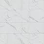 MSI Trinova - 12" x 24" Floor and Wall Tile - Matte Visual - Sold by Pallet (448 SF/Pallet) Celestio
