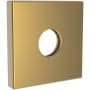 Newport Brass Tub & Shower Series Brass Shower Arm Flange Satin Bronze - PVD
