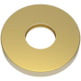 Newport Brass Tub and Shower Arm Flange Satin Gold (PVD)