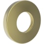 Newport Brass Tub and Shower Arm Flange Forever Brass (PVD)