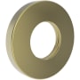 Newport Brass Tub and Shower Arm Flange Polished Brass Uncoated (Living)