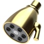 Newport Brass Tub and Shower 1.8 GPM Single Function Shower Head Forever Brass (PVD)