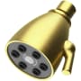 Newport Brass Tub and Shower 1.8 GPM Single Function Shower Head Satin Brass (PVD)
