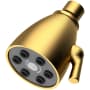 Newport Brass Tub and Shower 1.8 GPM Single Function Shower Head Satin Bronze (PVD)