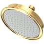 Newport Brass Tub and Shower 1.8 GPM Single Function Rain Shower Head Polished Brass Uncoated (Living)