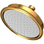 Newport Brass Tub and Shower 1.8 GPM Single Function Rain Shower Head Polished Gold (PVD)