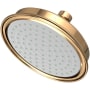 Newport Brass Tub and Shower 1.8 GPM Single Function Rain Shower Head French Gold (PVD)