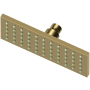 Newport Brass Tub and Shower 1.8 GPM Single Function Rain Shower Head Forever Brass (PVD)