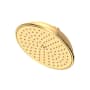 Newport Brass Tub and Shower 1.8 GPM Single Function Rain Shower Head with Installation Hardware Included Polished Brass Uncoated (Living)