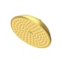 Newport Brass Tub and Shower 1.8 GPM Single Function Rain Shower Head with Installation Hardware Included Satin Brass (PVD)