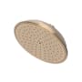 Newport Brass Tub and Shower 1.8 GPM Single Function Rain Shower Head with Installation Hardware Included Antique Brass
