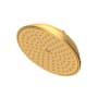 Newport Brass Tub and Shower 1.8 GPM Single Function Rain Shower Head with Installation Hardware Included Satin Bronze (PVD)