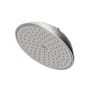 Newport Brass Tub and Shower 1.8 GPM Single Function Rain Shower Head with Installation Hardware Included Stainless Steel (PVD)
