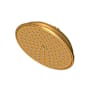 Newport Brass Tub and Shower 1.8 GPM Single Function Rain Shower Head with Installation Hardware Included Polished Gold (PVD)