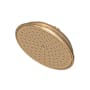 Newport Brass Tub and Shower 1.8 GPM Single Function Rain Shower Head with Installation Hardware Included French Gold (PVD)