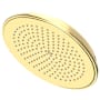 Newport Brass Tub and Shower 1.8 GPM Single Function Rain Shower Head with Rainfall Shower Pattern Forever Brass (PVD)