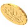 Newport Brass Tub and Shower 1.8 GPM Single Function Rain Shower Head with Rainfall Shower Pattern Aged Brass