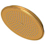 Newport Brass Tub and Shower 1.8 GPM Single Function Rain Shower Head with Rainfall Shower Pattern Polished Gold (PVD)