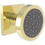 Newport Brass 1.75 GPM Single Function Body Spray Trim Forever Brass (PVD)