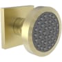 Newport Brass 1.75 GPM Single Function Body Spray Trim Satin Brass (PVD)