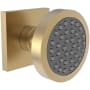 Newport Brass 1.75 GPM Single Function Body Spray Trim Satin Bronze (PVD)
