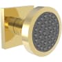Newport Brass 1.75 GPM Single Function Body Spray Trim Polished Gold (PVD)