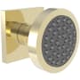 Newport Brass 1.75 GPM Single Function Body Spray Trim French Gold (PVD)