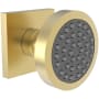 Newport Brass 1.75 GPM Single Function Body Spray Trim Satin Gold (PVD)