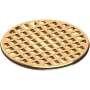 Newport Brass 4" Round Shower Drain Polished Brass Uncoated (Living)