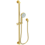 Newport Brass Multi-Function Hand Shower Package with Slide Bar, Hose, and Wall Supply Satin Brass (PVD)